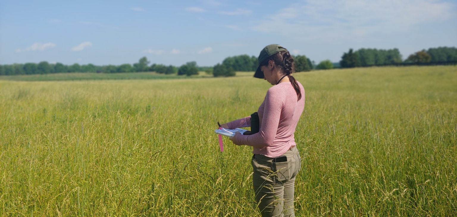 Grassland Biodiversity Surveys Virginia Working Landscapes