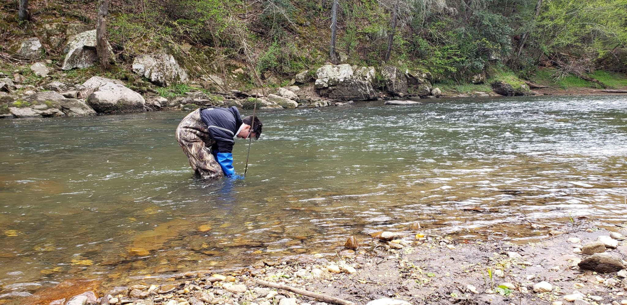 River Herring in the Rappahannock Tracking and Monitoring Virginia