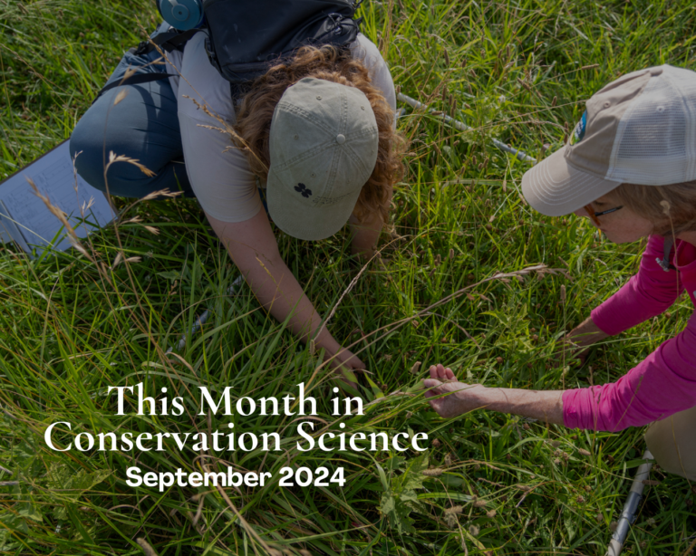 This Month in Conservation Science | September 2024 - Virginia Working ...