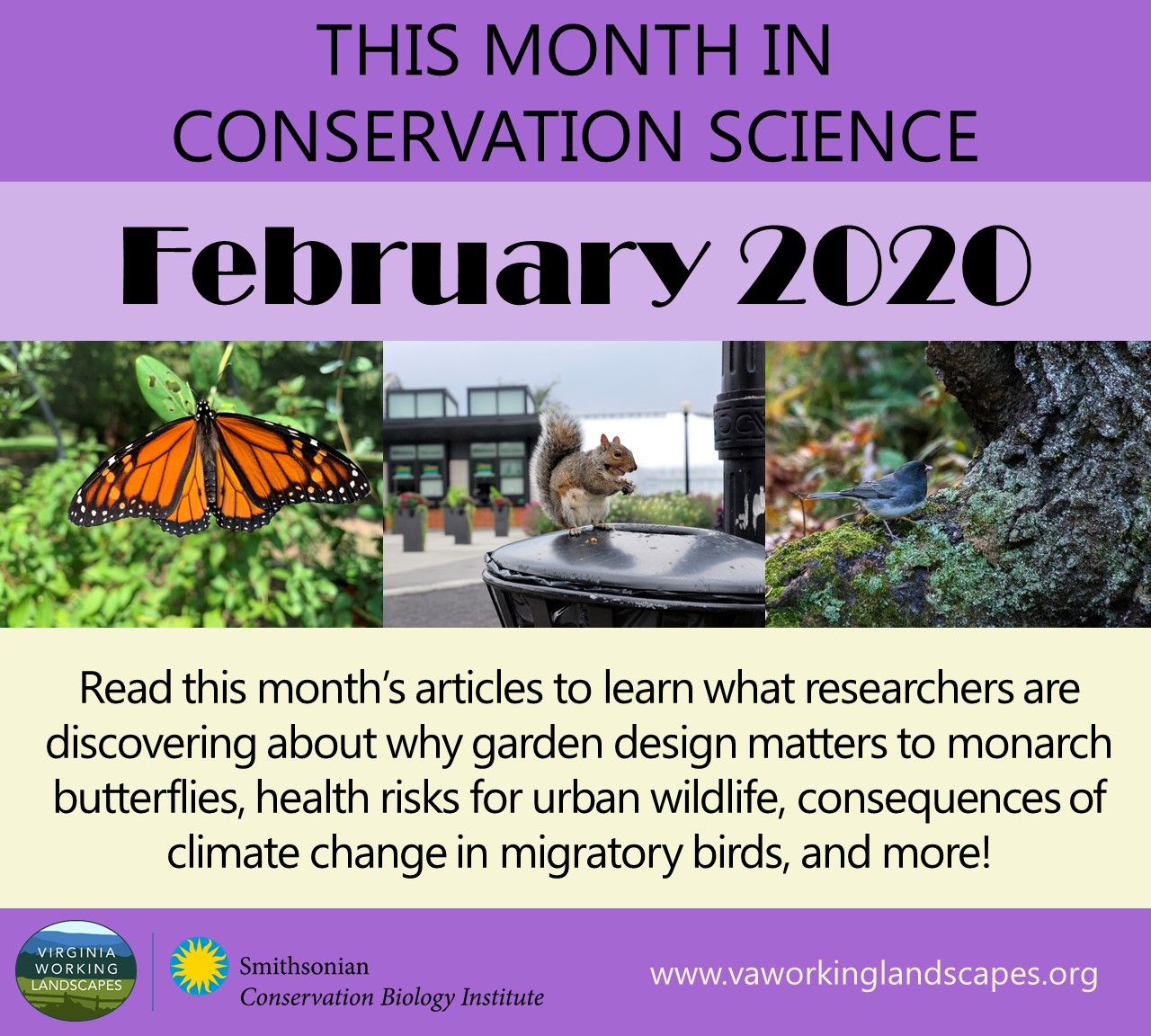 This Month In Conservation Science February 2020 Virginia Working