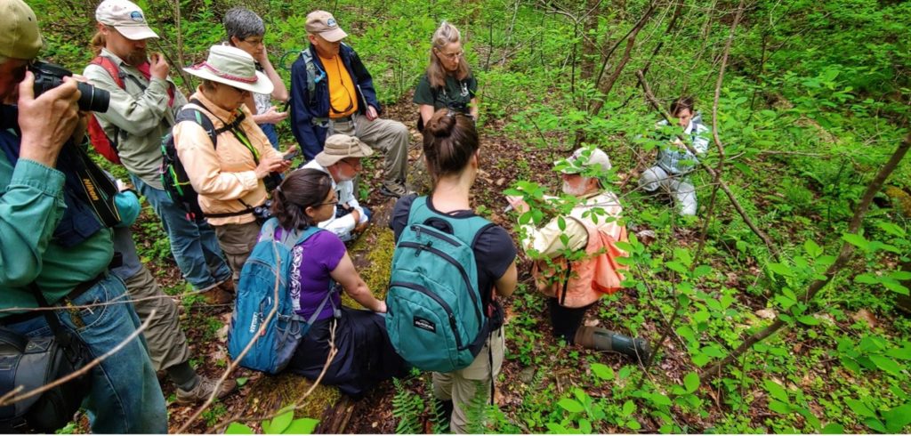 A group of volunteers gather in the woods while a scientist leads a field lecture.