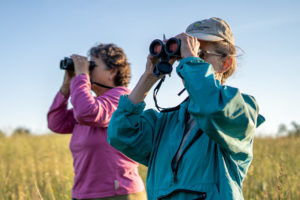 Volunteers use binoculars bird survey